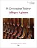 Allegro Agitato 